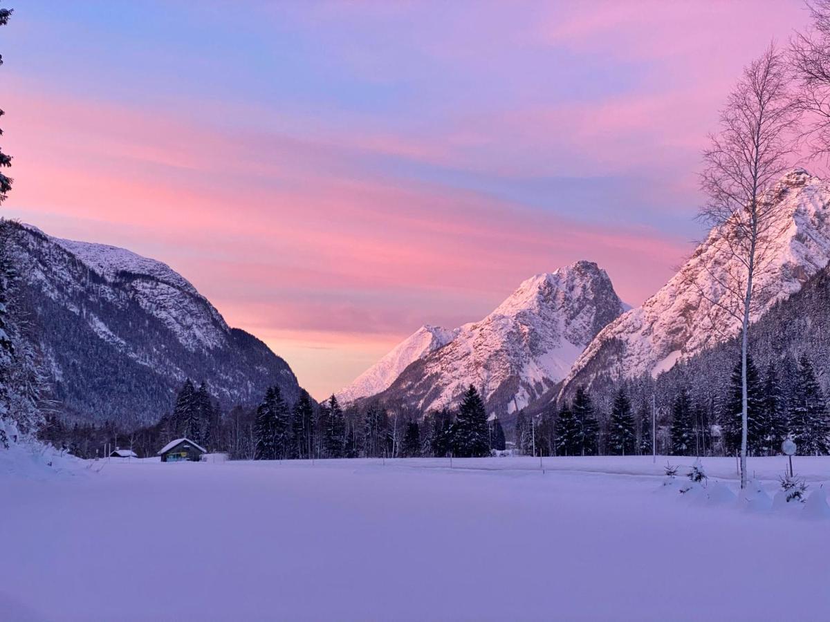 Baerenwirt Daire Mittenwald Dış mekan fotoğraf